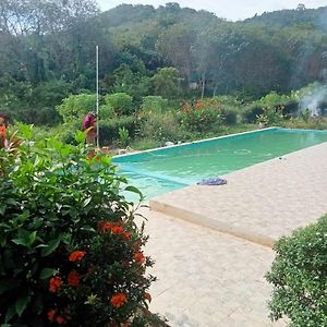 Bungalow Garden View